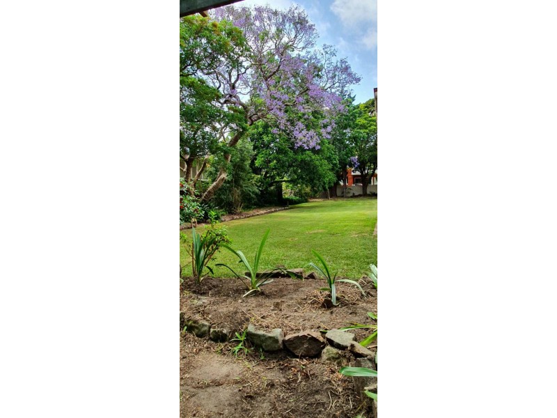 486 Forest Road, Bexley NSW 2207