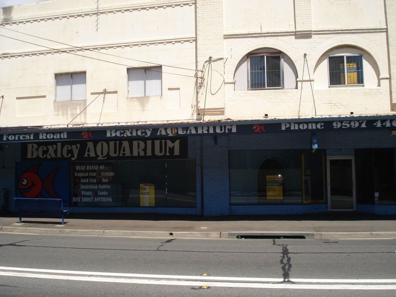 13/385 Forest Road, Bexley NSW 2207