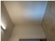 60 Harrow Road, Bexley NSW 2207