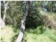 121 Lohr Avenue, Inverloch VIC 3996