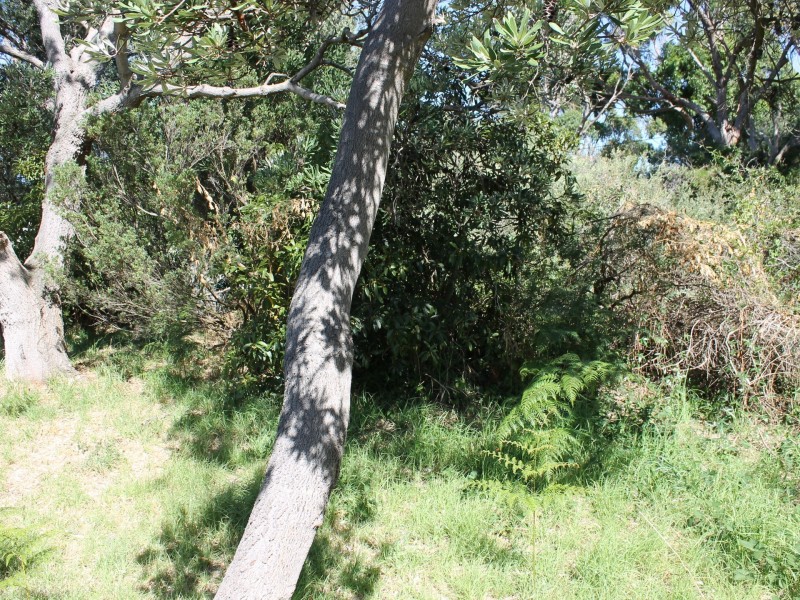 121 Lohr Avenue, Inverloch VIC 3996