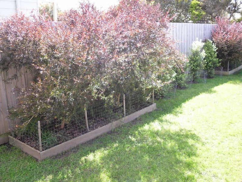 29 Outrigger Drive, Inverloch VIC 3996