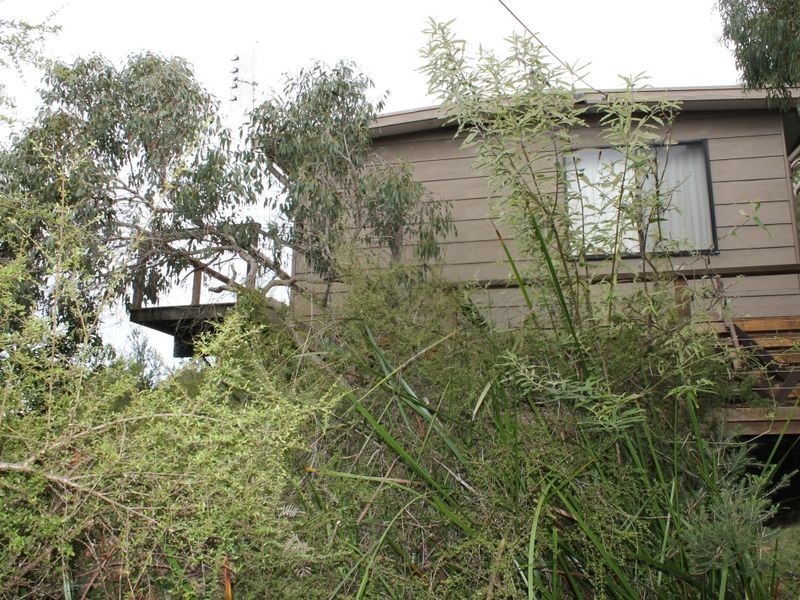 7 Holt Street, Walkerville VIC 3956