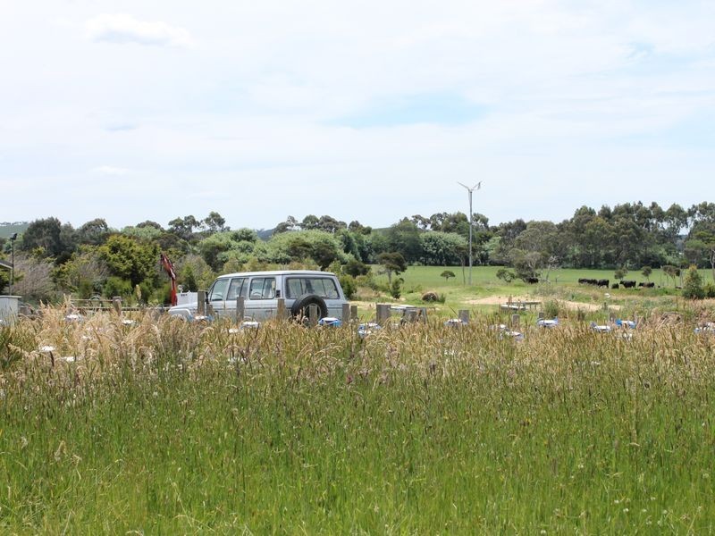 32 Anthonys Road, Wattle Bank VIC 3995