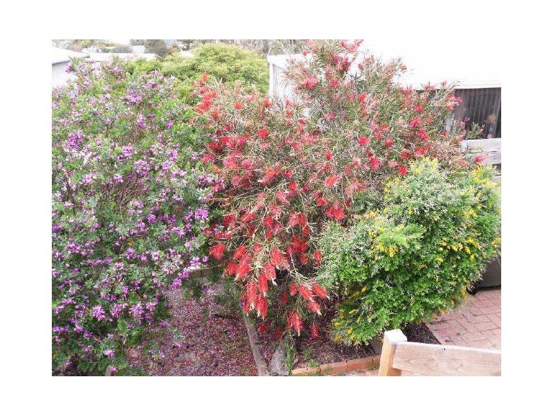 4 Ozone Court, Cape Paterson VIC 3995