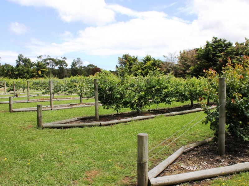 5755 Bass Highway, Inverloch VIC 3996