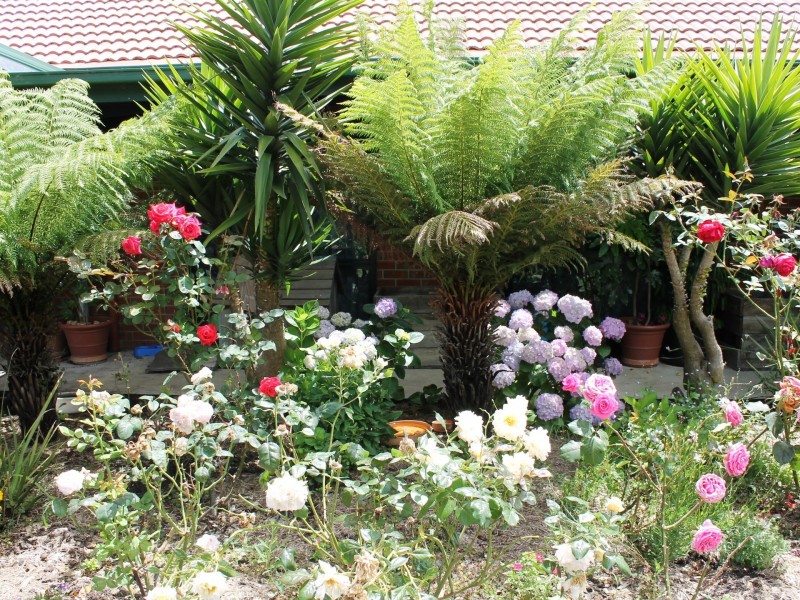 5755 Bass Highway, Inverloch VIC 3996