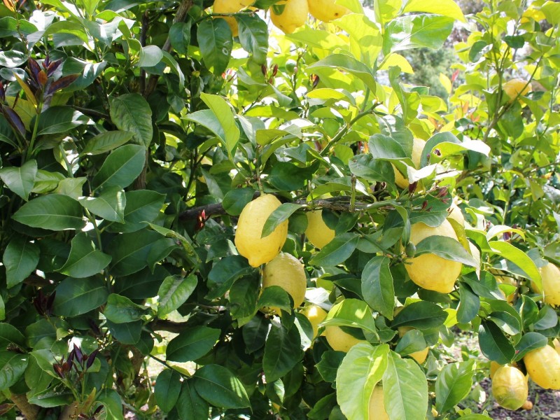 5755 Bass Highway, Inverloch VIC 3996