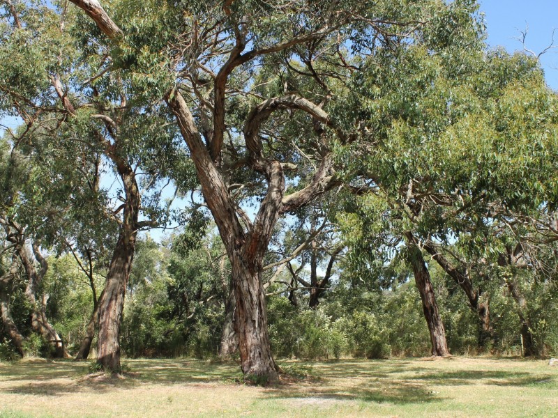 14 Kanowna Place, Inverloch VIC 3996