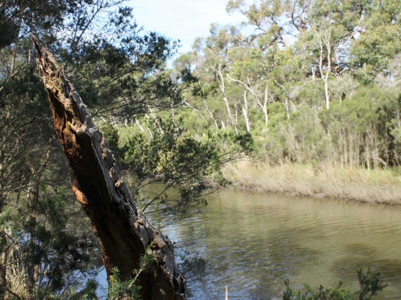 14 Kanowna Place, Inverloch VIC 3996