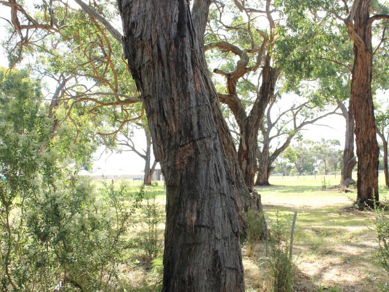 14 Kanowna Place, Inverloch VIC 3996