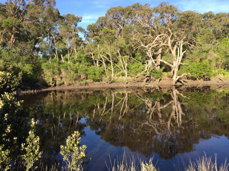 - Prom Island Park Estate, Inverloch VIC 3996