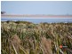 Lot 286 Cassinia Street, Inverloch VIC 3996