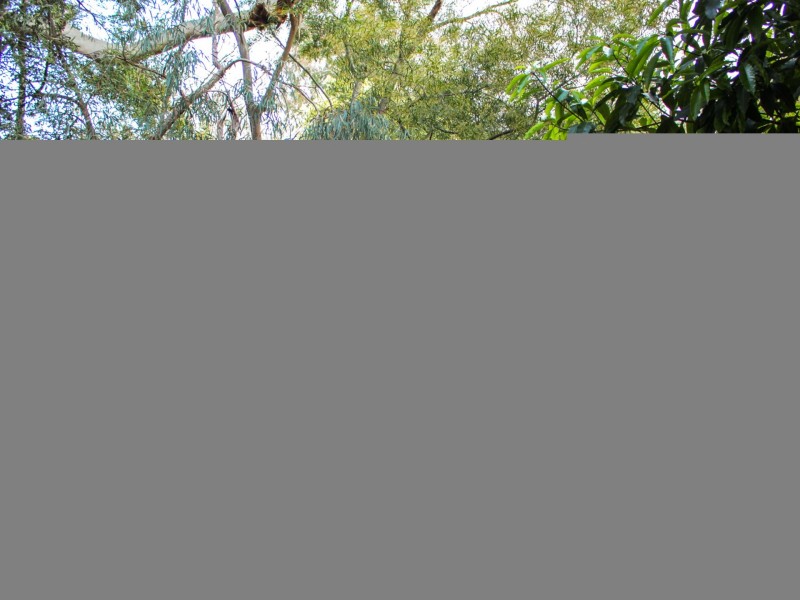 15 Toorak Road, Inverloch VIC 3996