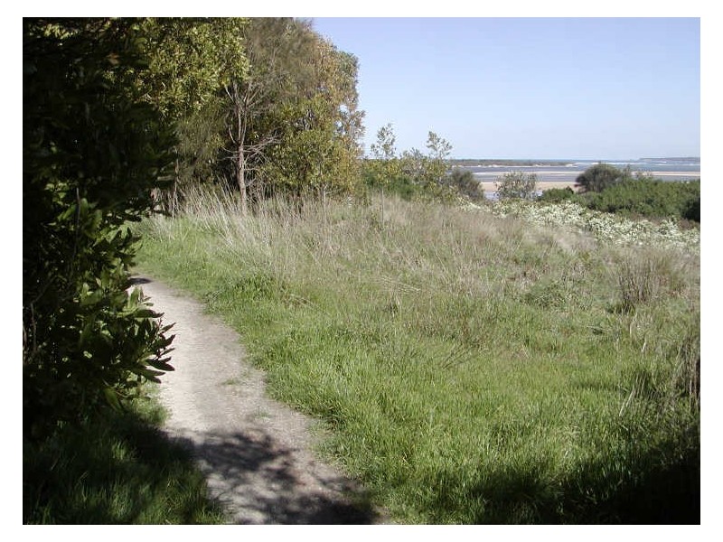 Lot 6 Henderson Court, Inverloch VIC 3996