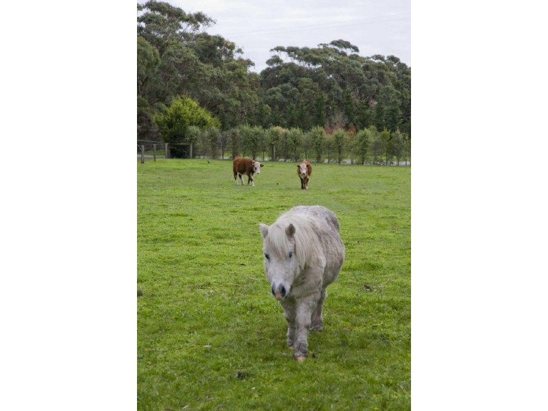 1005 Inverloch-Outtrim Road, Inverloch VIC 3996