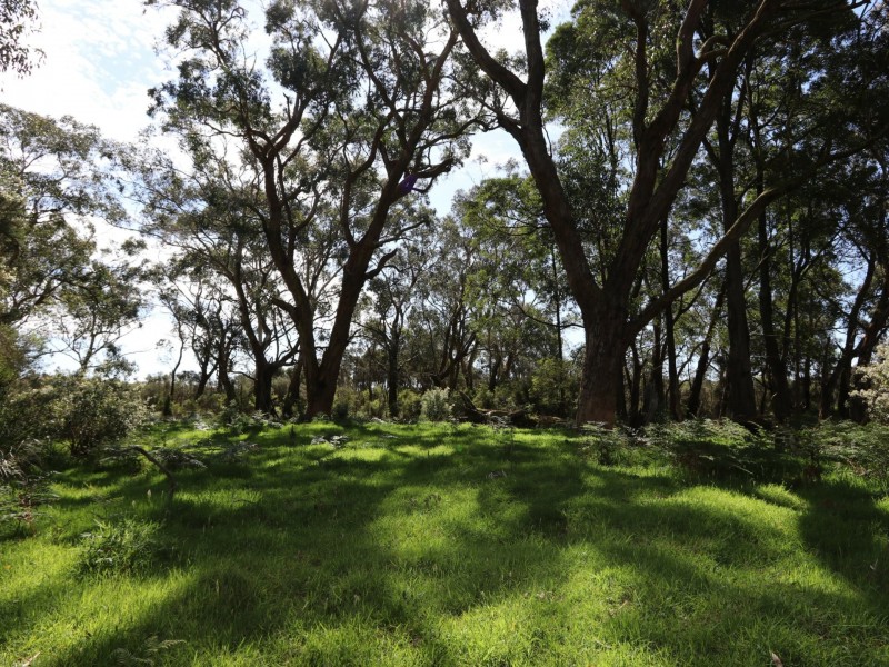 435 Koonwarra-Pound Creek Road, Leongatha South VIC 3953