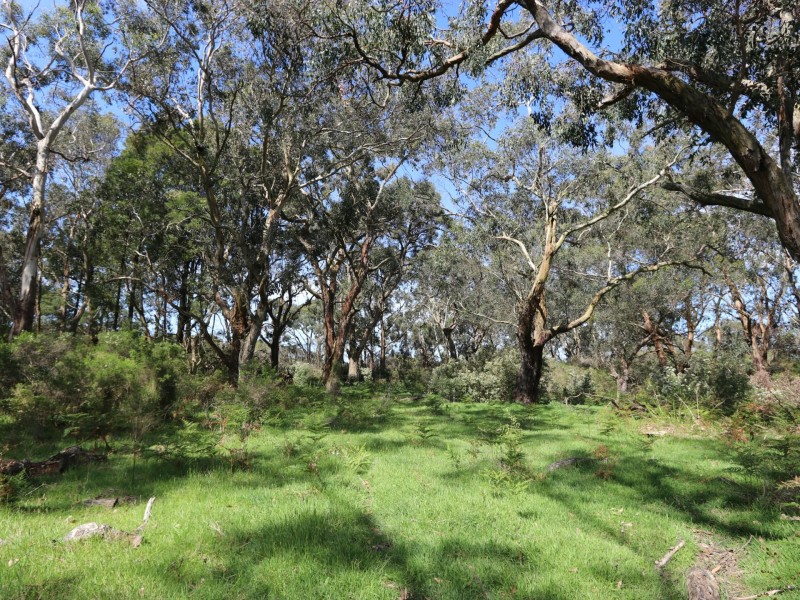 435 Koonwarra-Pound Creek Road, Leongatha South VIC 3953