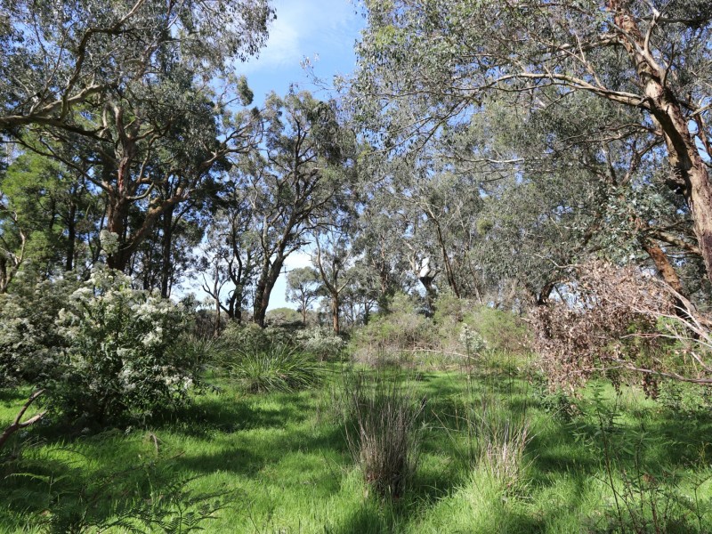 435 Koonwarra-Pound Creek Road, Leongatha South VIC 3953