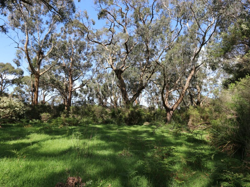 435 Koonwarra-Pound Creek Road, Leongatha South VIC 3953