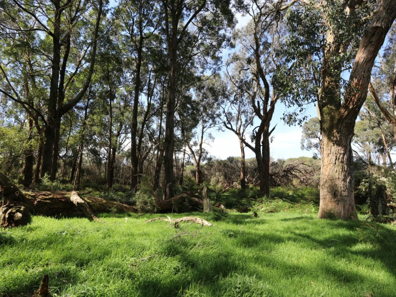 435 Koonwarra-Pound Creek Road, Leongatha South VIC 3953