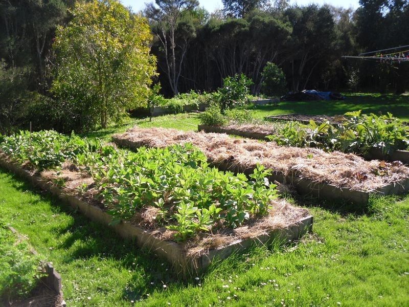 3 Nesci Court, Inverloch VIC 3996