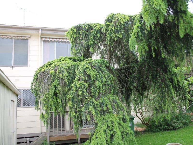 40 Beilby Avenue, Inverloch VIC 3996