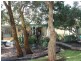 4 Heather Grove, Inverloch VIC 3996