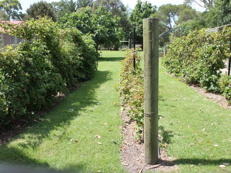 390 Stuchberrys Road, Inverloch VIC 3996