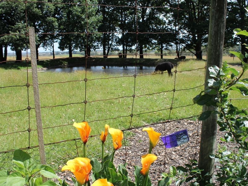 390 Stuchberrys Road, Inverloch VIC 3996