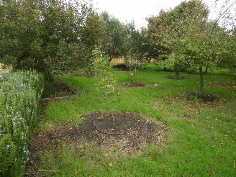 Lot Lot 17/69-77 Cashin Street, Inverloch VIC 3996
