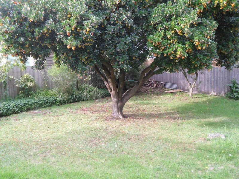 24 Sandymount Avenue, Inverloch VIC 3996