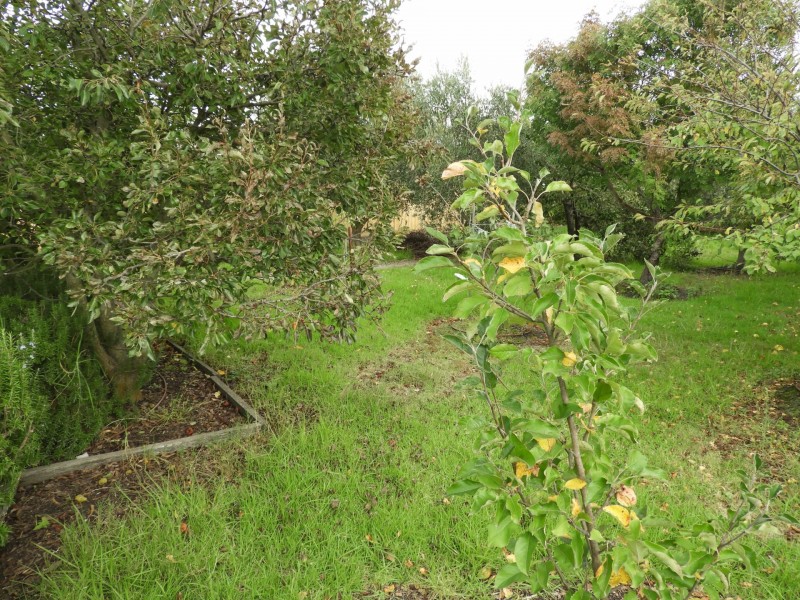 77 Cashin Street, Inverloch VIC 3996