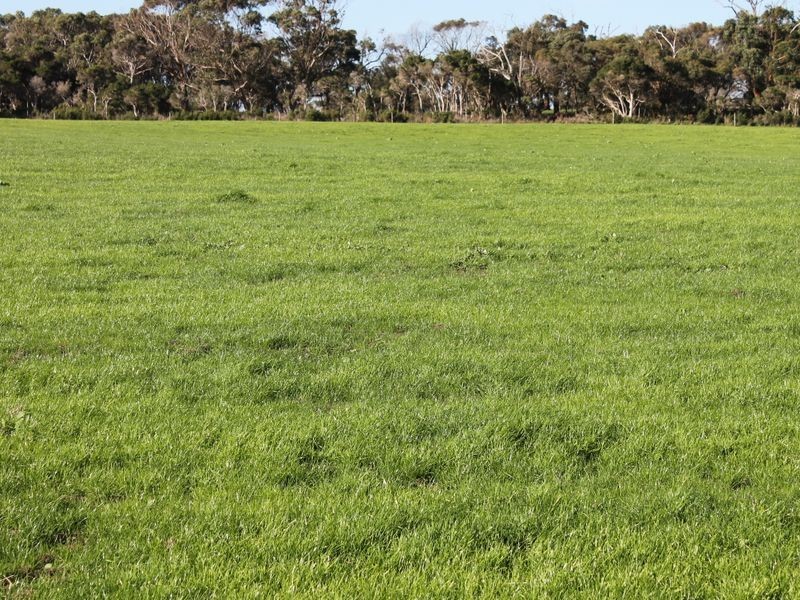 Lot 1 + An O’Connell Road, Inverloch VIC 3996