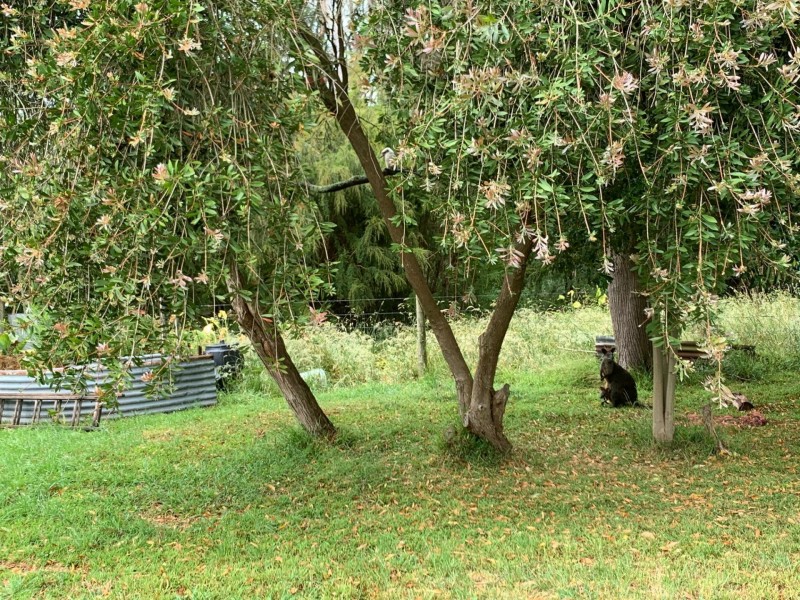 85 Meeniyan-Nerrena Road, Meeniyan VIC 3956