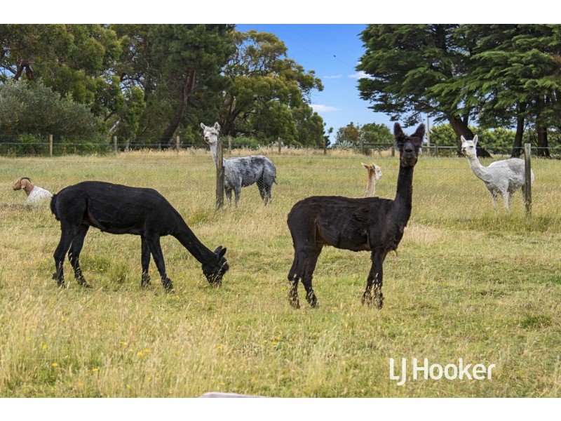 74 Arbuthnots Road, Tarwin Lower VIC 3956