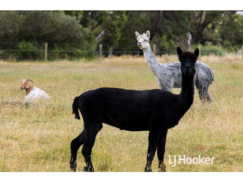 74 Arbuthnots Road, Tarwin Lower VIC 3956