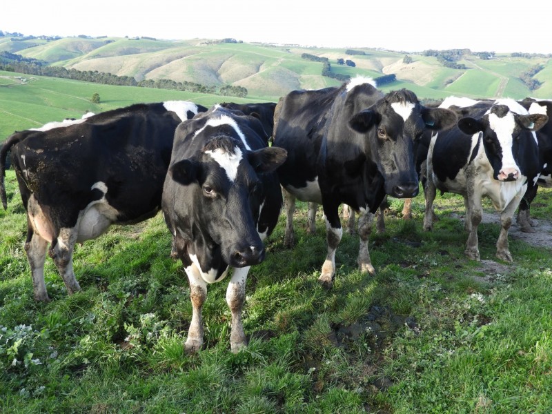 1485 Loch-Wonthaggi Road, Glen Alvie VIC 3979