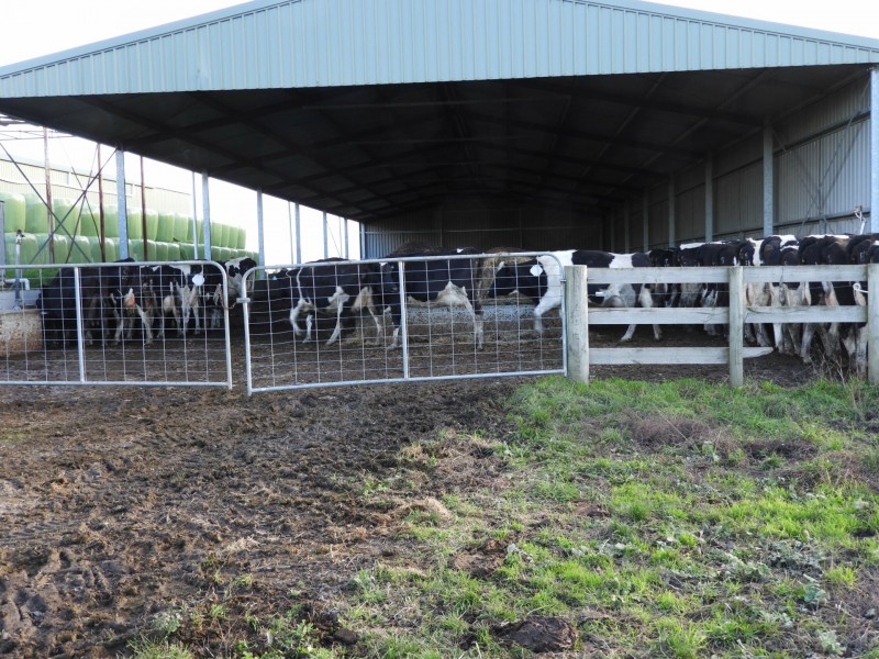 1485 Loch-Wonthaggi Road, Glen Alvie VIC 3979