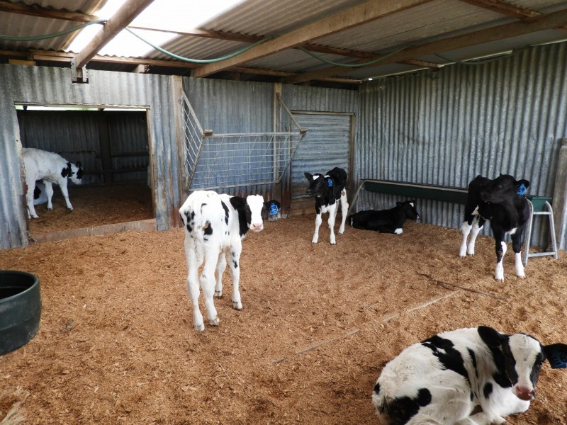 1485 Loch-Wonthaggi Road, Glen Alvie VIC 3979