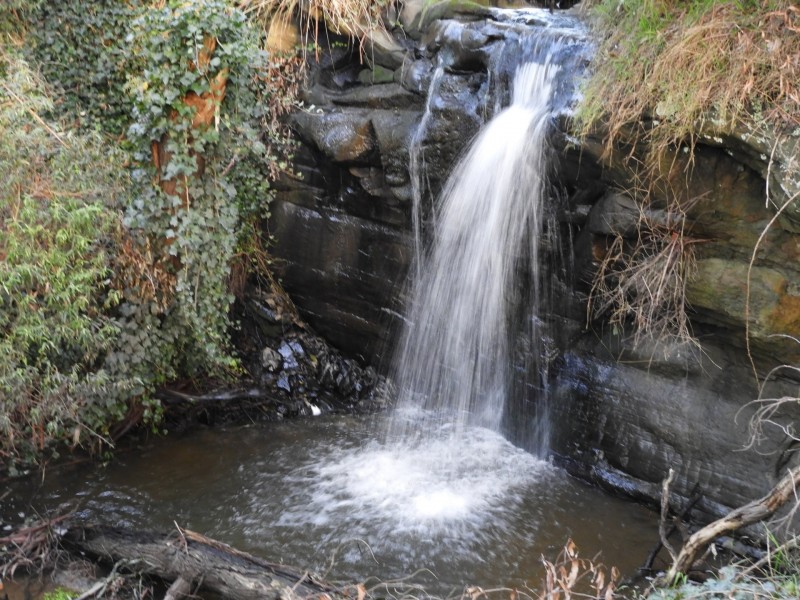 1485 Loch-Wonthaggi Road, Glen Alvie VIC 3979