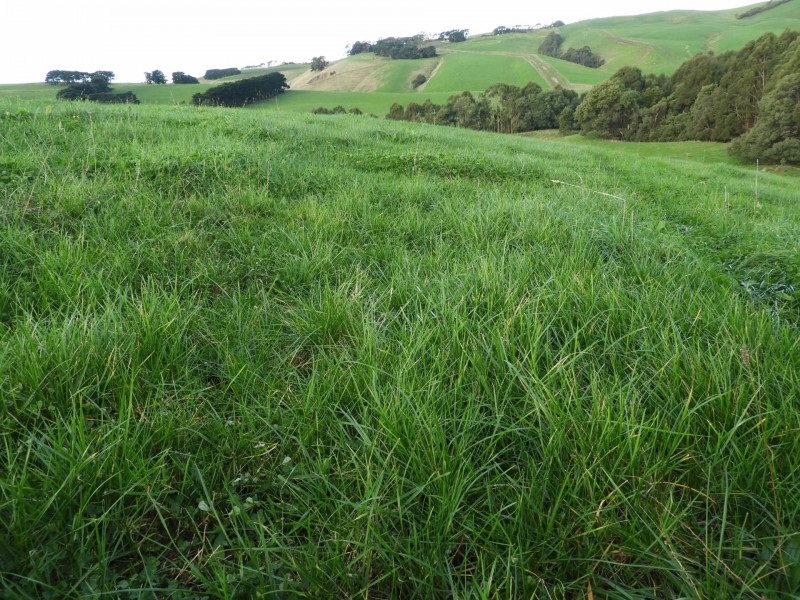 1485 Loch-Wonthaggi Road, Glen Alvie VIC 3979