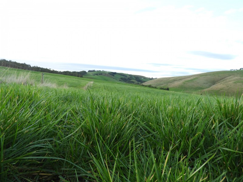 1485 Loch-Wonthaggi Road, Glen Alvie VIC 3979