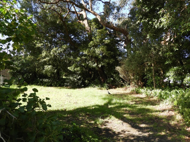 10 Freda Street, Inverloch VIC 3996