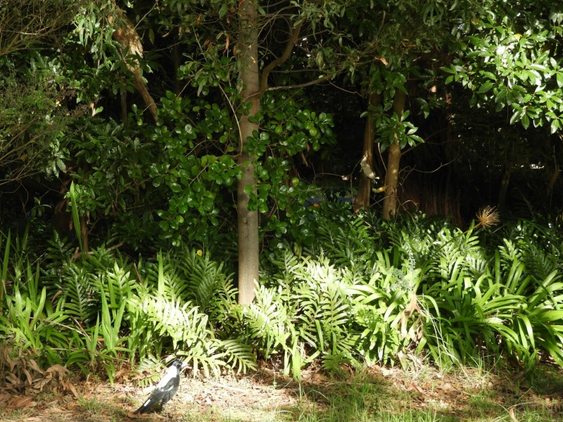 10 Freda Street, Inverloch VIC 3996