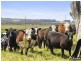 1877 Inverloch-Venus Bay Road, Tarwin Lower VIC 3956