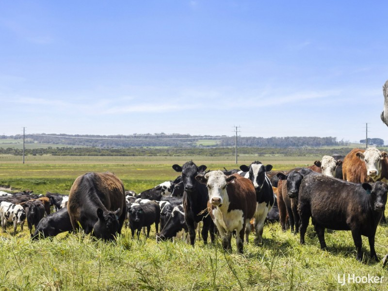 1877 Inverloch-Venus Bay Road, Tarwin Lower VIC 3956