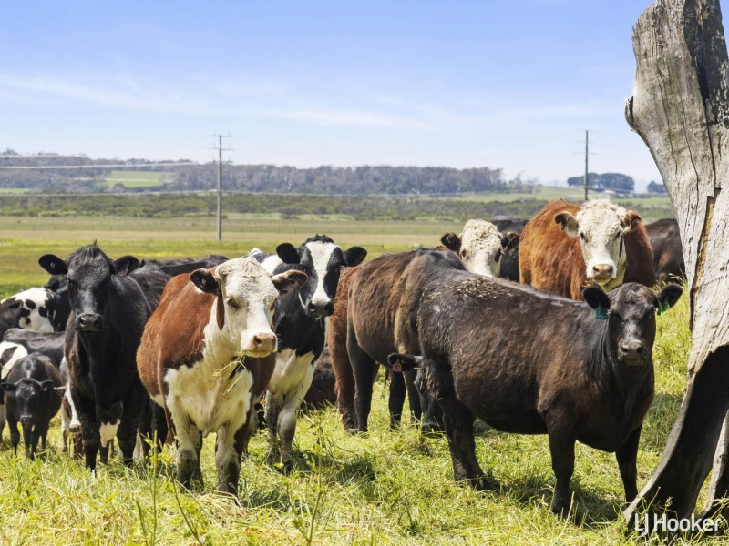 1877 Inverloch-Venus Bay Road, Tarwin Lower VIC 3956