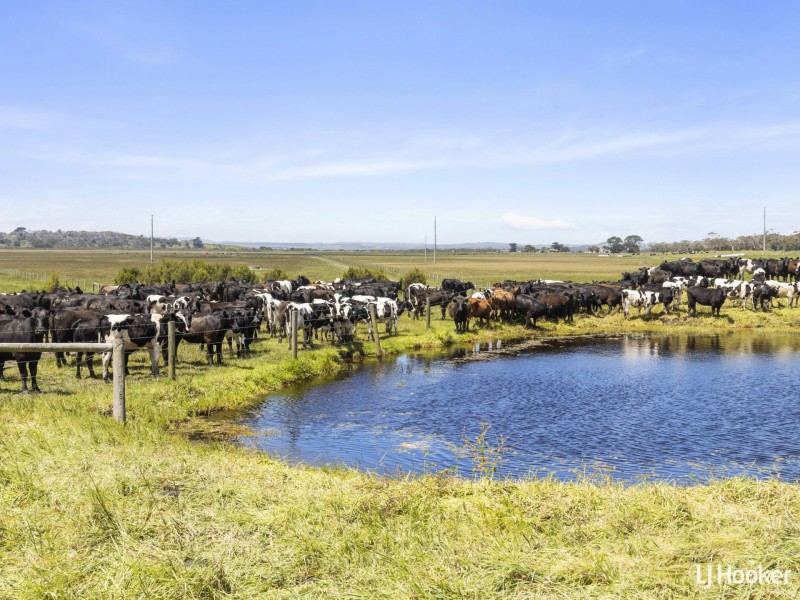 1877 Inverloch-Venus Bay Road, Tarwin Lower VIC 3956