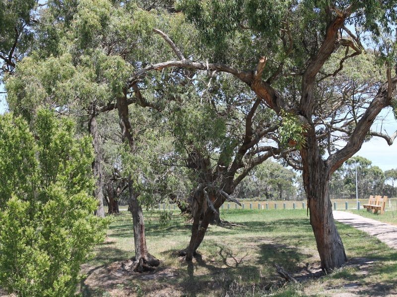 Lot 5 Kanowna Place, Inverloch VIC 3996